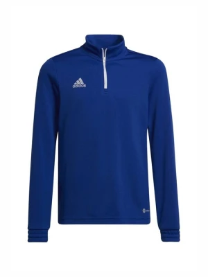 Bluza Adidas niebieski