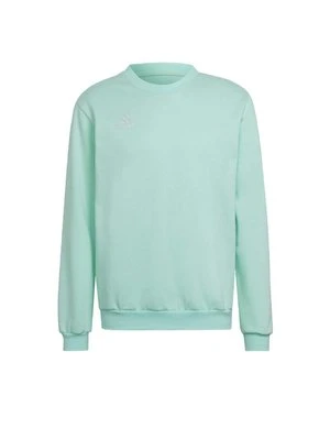 Bluza adidas performance