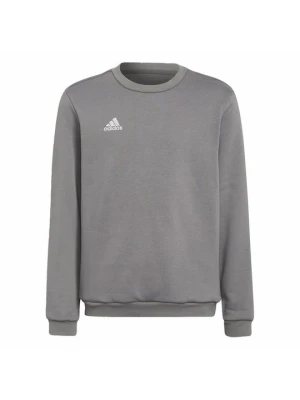 Bluza Adidas szary