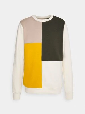 Bluza Anerkjendt