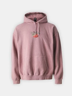 Bluza BDG Urban Outfitters