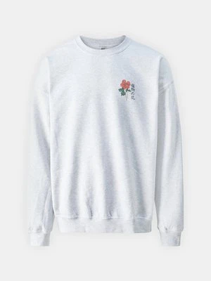 Bluza BDG Urban Outfitters