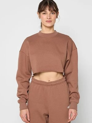 Zdjęcie produktu Bluza Björn Borg brązowy