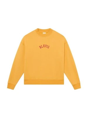 Bluza BLKVIS