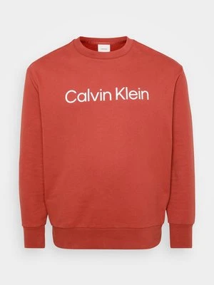 Bluza Calvin Klein