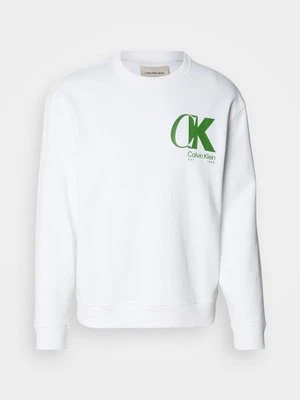 Bluza Calvin Klein