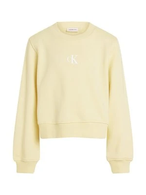 Bluza Calvin Klein Jeans