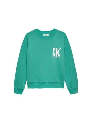 Bluza Calvin Klein Jeans