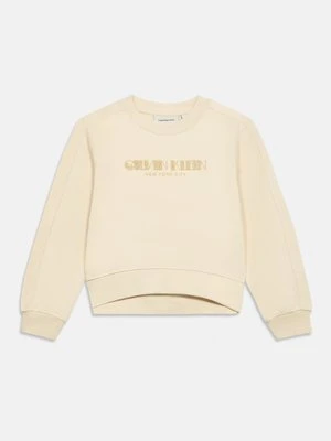 Bluza Calvin Klein Jeans