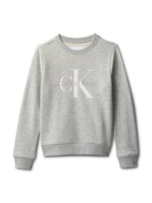 Bluza Calvin Klein Jeans szary