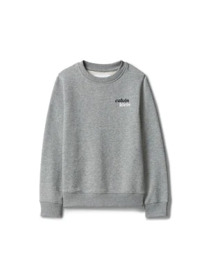 Bluza Calvin Klein Jeans szary