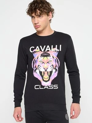 Bluza Cavalli Class