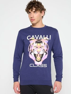 Bluza Cavalli Class niebieski