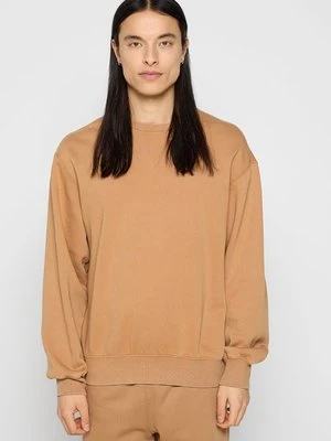 Bluza Champion