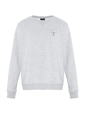 Bluza Chiemsee szary