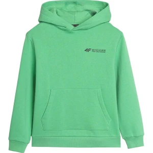 Bluza chłopięca TSWSM1229 4F