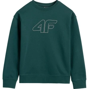 Bluza chłopięca TSWSM196 4F