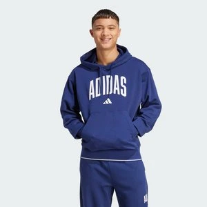 Bluza Collegiate Hoodie Adidas
