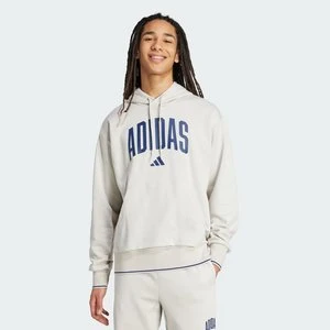 Bluza Collegiate Hoodie Adidas