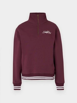 Bluza Colourful Rebel