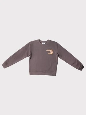 Bluza Colourful Rebel