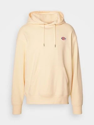 Bluza z kapturem Dickies