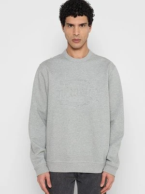Zdjęcie produktu Bluza Dickies szary