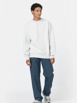 Zdjęcie produktu Bluza Dickies jasnoszary