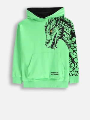Bluza dresowa COCCODRILLO