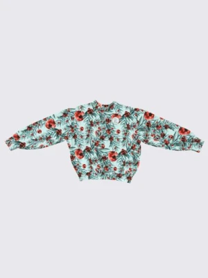 Bluza dresowa HEY POPINJAY