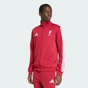 Bluza dresowa Liverpool FC DNA Adidas