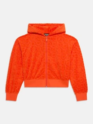 Bluza Dsquared2