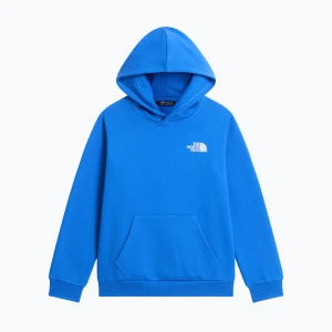Bluza dziecięca The North Face Evolution Box NSE Pullover Hoodies active blue