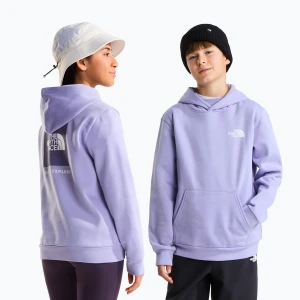 Bluza dziecięca The North Face Evolution Box NSE Pullover Hoodies pale plum Fioletowy