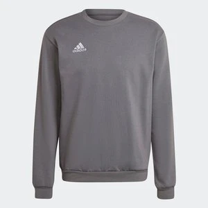 Bluza Entrada 22 Adidas