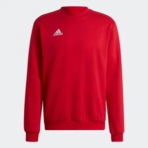 Bluza Entrada 22 Adidas