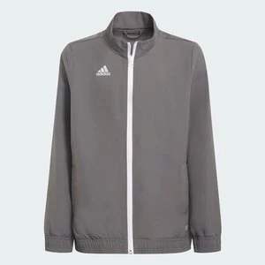 Bluza Entrada 22 Presentation Adidas Team Grey Four