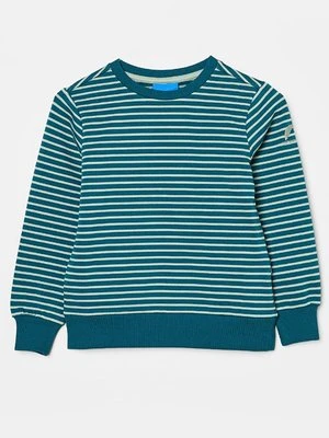 Bluza Finkid
