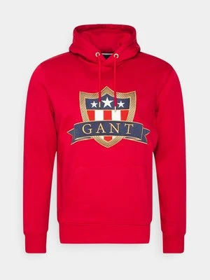 Bluza Gant