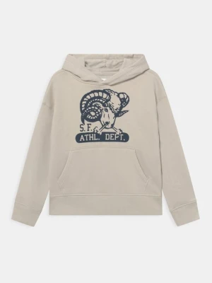 Bluza GAP jasnoszary