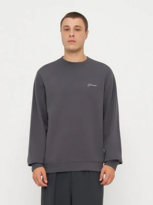 Bluza Holzweiler szary