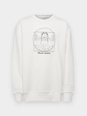 Bluza Iceberg