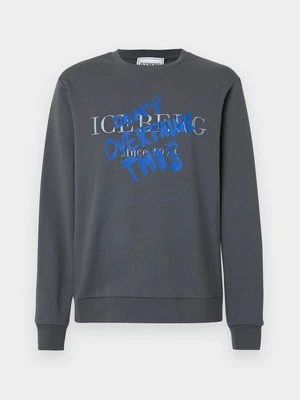 Bluza Iceberg