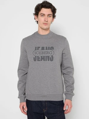 Bluza Iceberg szary
