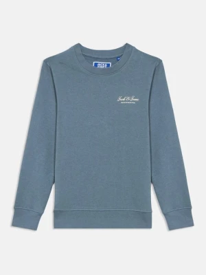 Bluza Jack&Jones