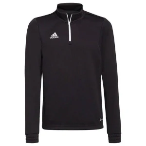 Bluza juniorska Entrada 22 Top Training Adidas