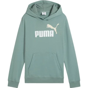 Bluza juniorska Ess 2 Color No.1 Logo Hoodie Puma