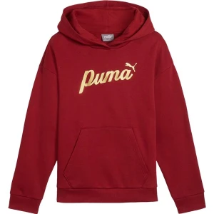 Bluza juniorska Ess+ Script Metallic Hoodie Puma