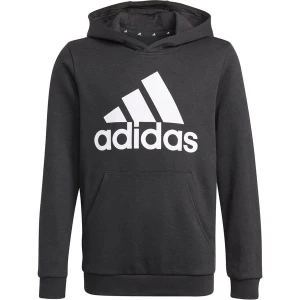 Bluza juniorska Essentials Hoodie Adidas