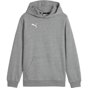 Bluza juniorska TeamGOAL Casuals Hoody Jr Puma